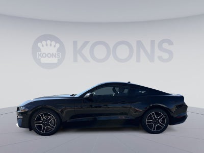 2022 Ford Mustang EcoBoost