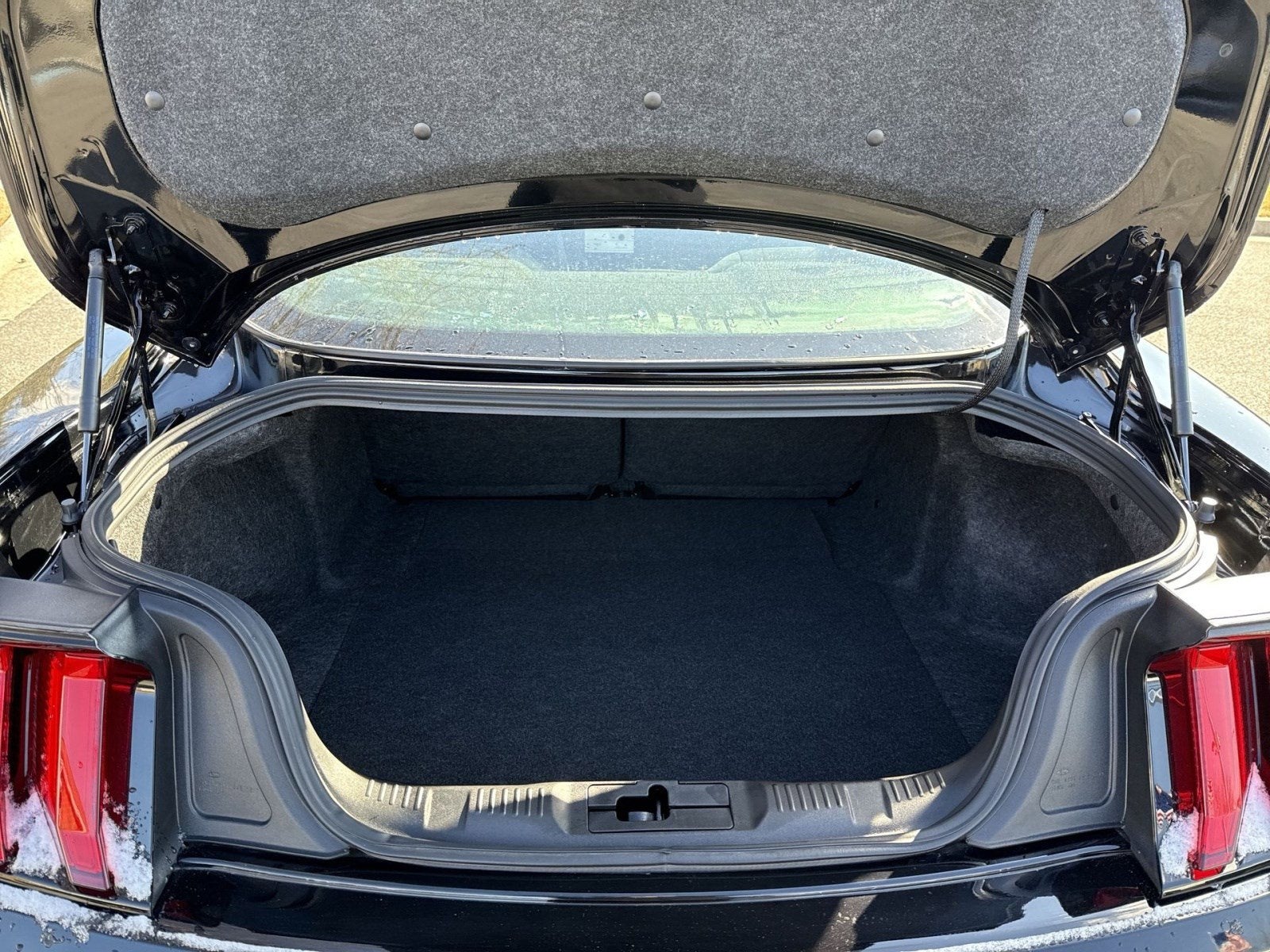 2022 Ford Mustang EcoBoost